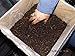 Crimini ~ Portabella ~ Baby Bella Mushroom Growing Kit - Easy to Grow Your own Fresh Mushrooms! Fun for The Whole Family!