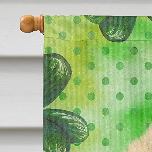 Drapeau de maison Poméranie Saint-Patrick grand format multicolore