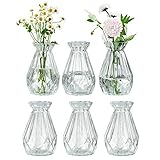 MyGift Small Glass Bud Vase Set of 6-5 Inch Decorative Flower Vases for Wedding and Event Centerpieces