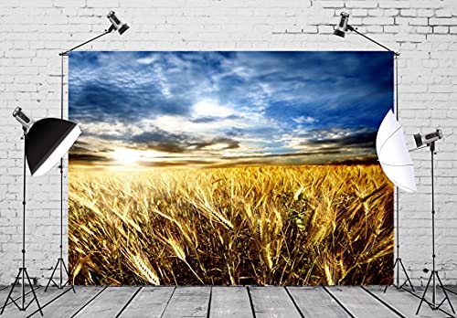 Loccor 10x8ft Harvest Wheat Field Sunset Farm Backdrop Adults Kids Outdoor Photography Background Baby Shower Wedding Cowboy Birthday Party Scene Setter Supplies Wallpaper Tapestry Photoshoot Props -  N1-Field-04-1080
