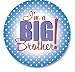 ANNOUNCEMENT BUTTON - BIG BROTHER