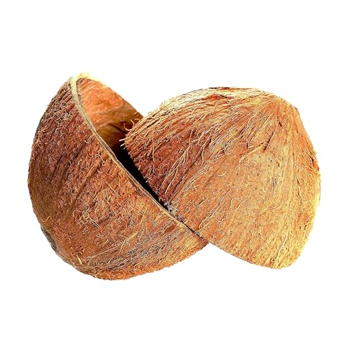 40 mitades de cáscara de coco (sin carcasa perforada), ecológicas, de Ceilán, 100% natural, mitades de cáscara de coco para manualidades hechas a mano, 40 mitades, sin carcasa perforada