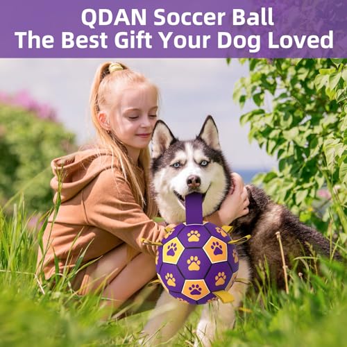 image for QDAN Extra Large Dog Toys Soccer Ball - Durable Dog Balls for Extra La