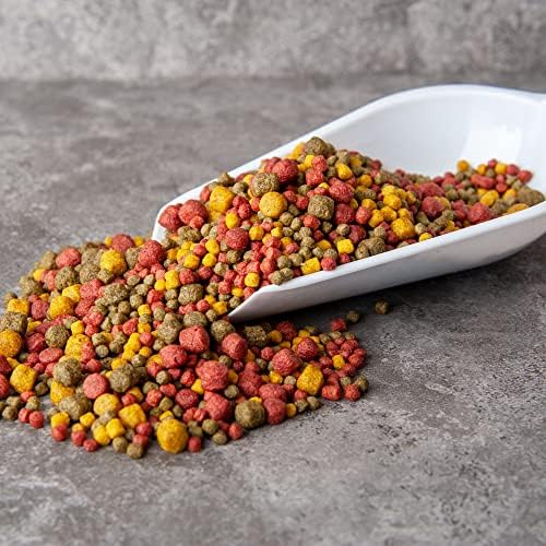 Walters All-Round 3mm & 6mm Nutri Mix (1kg)| Pond Fish Food Pellet for Koi, Goldfish and all Cold Water Pond Fish | Premium Nutrition Year Round, Complete Fish Food Pellets in Recyclable Bags