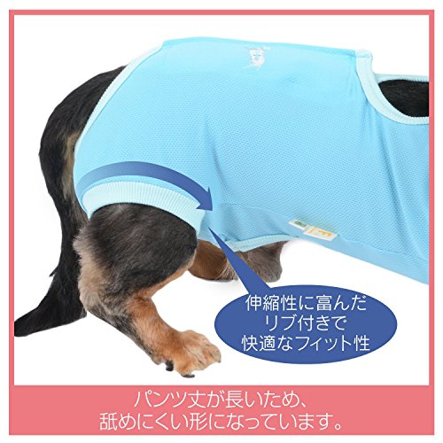 トイプードル ロコちゃん用 犬の術後服を手作りしてみた ロコ父さんのブログ トイプーのロコちゃん