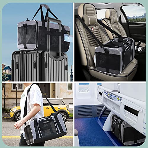 Petskd Pet Carrier 17X11X10.5 Delta American United Airline Approved, Pet Travel Carrier Bag For Small Cats And Dogs, Cat Soft Sided Carrier With Safety Lock Zippers, 5-Sided Breathable Mesh(Grey) #TOP5