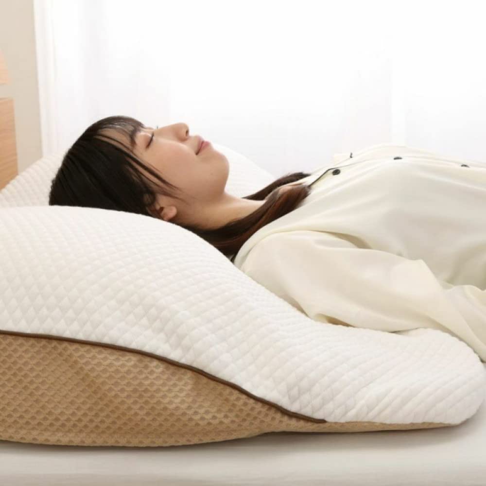 Amazon｜昭和西川 ギガ枕 1個＆洗い替え専用カバー 2枚 (DR