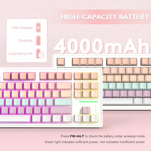 Clavier mécanique Bluetooth M87 remplaçable à chaud avec disposition compacte TKL RVB - 6