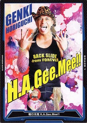 キングオブプロレスリング/第17弾/BT17-015/R/堀口元気H.A.Gee.Mee!!/H・A・G・Eのサムネイル