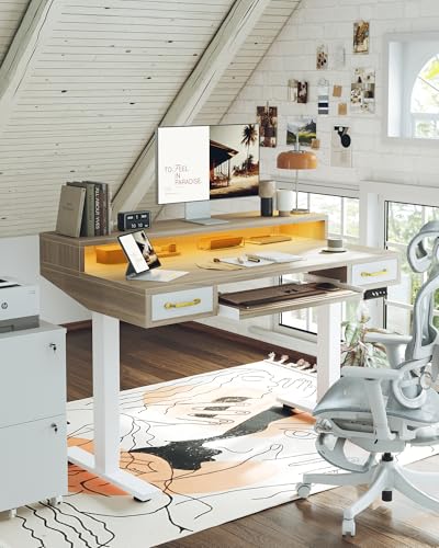 Image of TIQLAB Standing Desk with Two Drawers, Stand Up Standing Desk Adjustable Height, Electric Sit Stand Table with Storage Shelf and Splice Board, with LED Light, 47 * 28 inch, Light Walnut