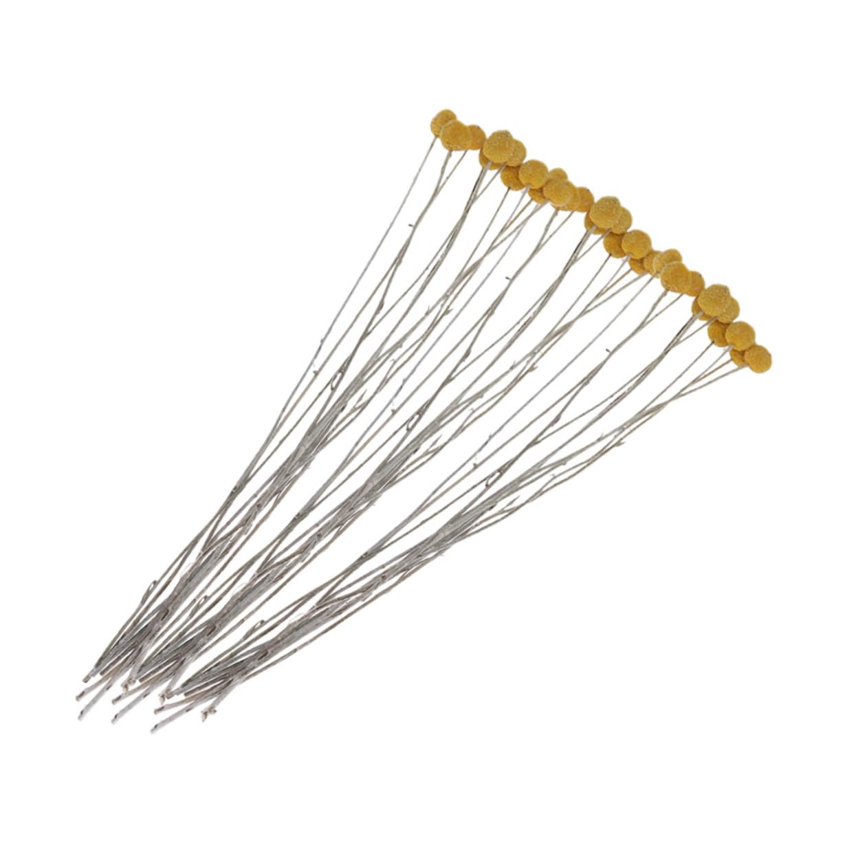 VILLCASE 60pièces Bouquet Fleurs Séchées Craspedia Décoration Naturelle pour Mariage Maison Et Événements sans Entretien