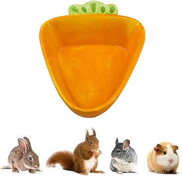 Rabbit Food Bowl - Ceramic Bunny Guinea Pig Hay Feeder Food Dish Water Bowl Chew Resistant Food Bowls Water Feeder for Rabbits, Guinea Pigs, Chinchilla, Ferrets Big Carrot