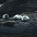  Relaxing Pillow