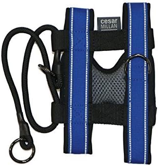 cesar millan harness medium