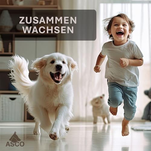 ASCO Target Stick - Target Stab für Hunde Katzen Targettraining - Targetstick ausziehbar mit Softball - Edelstahl Targetstab mit Teleskopfunktion, schwarz