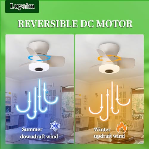 Plafonnier ventilateur de plafond moderne avec lumière LED variable