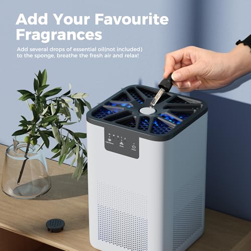 Air Purifier for Bedroom True H13 HEPA Air Purifier with 20dB Sleep Mode for Bacteria Virus Smoke Pollen Dander Hair Smell Use in Bedroom Office and Home - Image 5