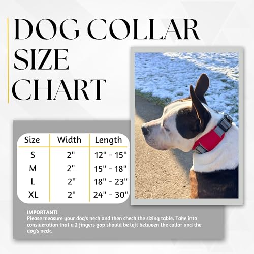 Adityna CC1 - M RED 2-Inch Wide Adjustable Dog Collars thumb #5