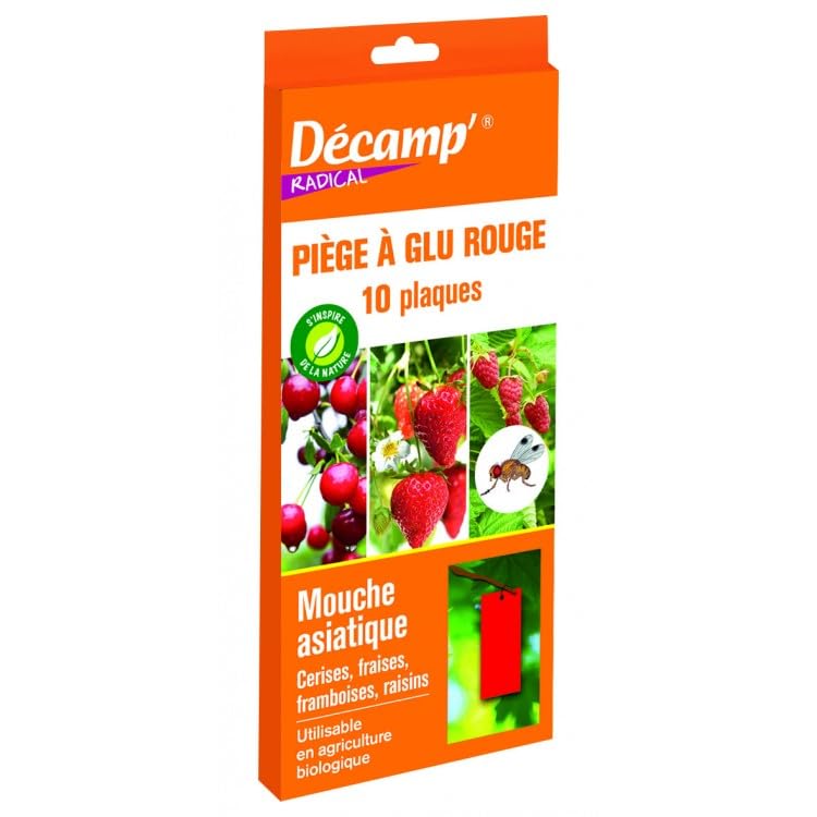 Piège à glu rouge mouche asiatique Décamp anti drosophile suzukii cerisier et arbres fruitiers