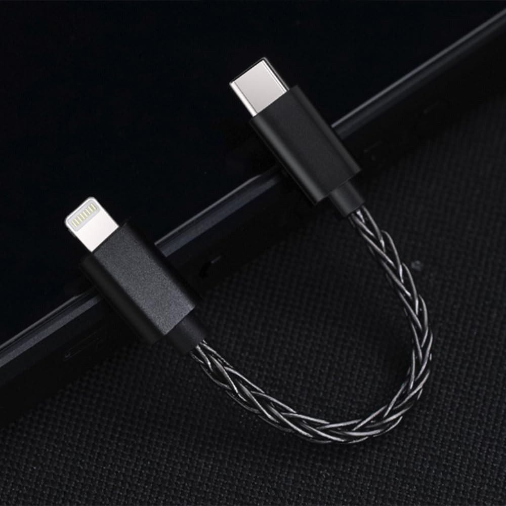 Amazon.co.jp: FIIO LT-LT2 FIO-LT-LT2【日本正規店より発送】OTG