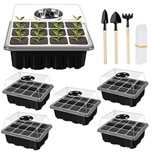 Kweekbak, 6 stuks, kamerbroeikas, kweekdoos, mini-kweekset, kweekschalen, kweekset, zaateling, plant, kweekbak, kunststof kweekschalen