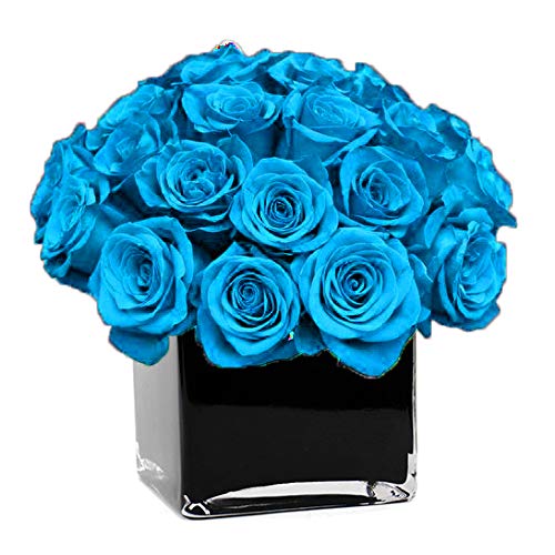 Black Vases Square Decor For You