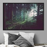 Framed Canvas Wall Art Greenlands Aerial Dark Farmhouse/Country Green Nature Photography Realism Relax/Calm - 16x24 inches