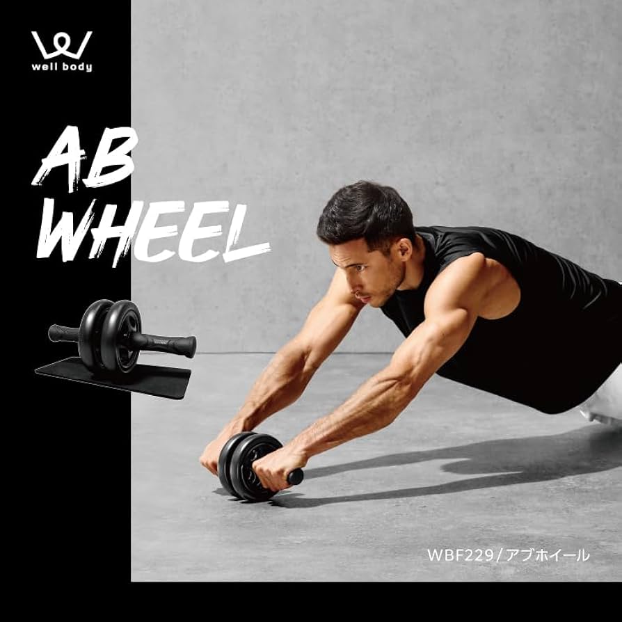 Amazon.co.jp: アルインコ(Alinco) (ALINCO) アブホイール 腹筋