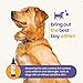 Dog Perfume Spray Long Lasting Chamomile & Lavender 8 Fl Oz, Dog Cologne Spray Long Lasting for Groomers, Calming Deodorizer Perfume for Dogs, Pet Puppy Deodorizing Fragrance by Gerrard Larriett