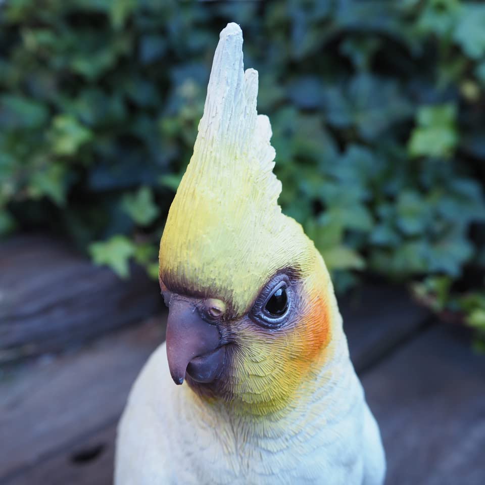 良い品物を提供しています様 オカメインコ オブジェ Amazon.co.jp: 小鳥の置物 インコの置物 オカメインコ