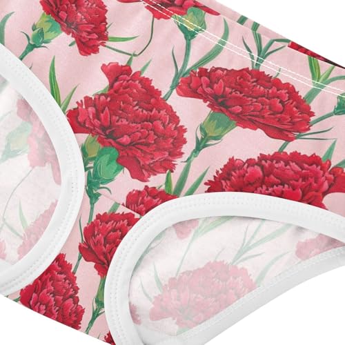 Joisal Colorful Toddler Girls Underwear 2t Cotton Panties Little Girl Red Carnation Flowers Pink Briefs Underpants4