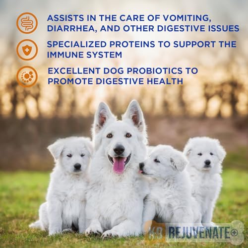 K9 Rejuvenate+ Canine Oral Paste (60g Oral Syringe, Pack of 1) Digestive and Immune Support for Dogs – Dog Supplements for Digestion K9 Rejuvenate+ Canine Oral Paste (60g Oral Syringe, Pack of 1) Digestive and Immune Support for Dogs – Dog Supplements for Digestion