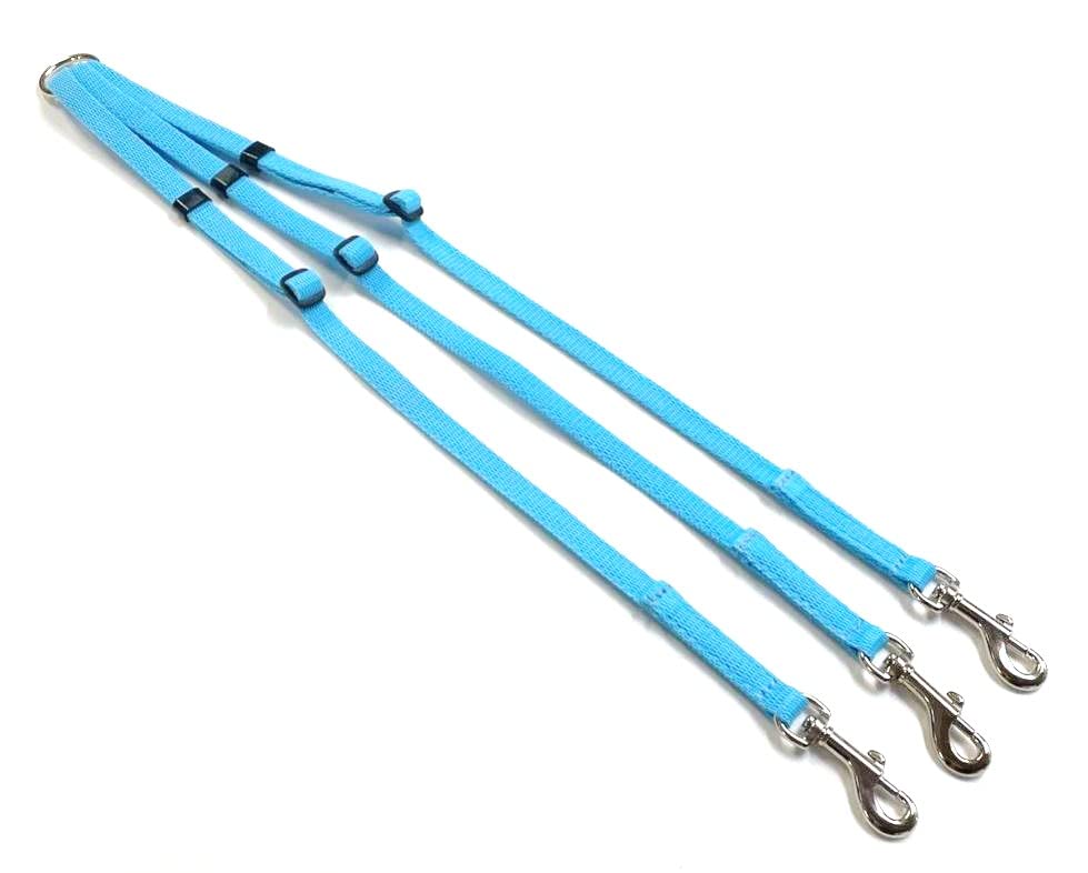 Dog Coupler/Splitter Lead Dual Walking Leash Adjustable 13mm Webbing 3 Way Splitter (Sky Blue)