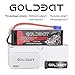 GOLDBAT 6S LiPo Battery 6000mAh 6S 22.2V 50C RC Battery with EC5 Plug and XT90 Connector for RC Evader BX Car RC Truck RC Truggy RC Heli Airplane Drone