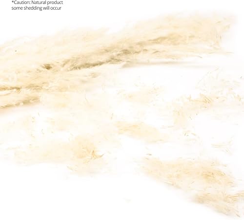 Miniatura 22 de Koyal Wholesale Plumas decorativas de hierba de las pampas secas reales, 28-32 pulgadas, color crema natural, a granel de 96 piezas de tallos de