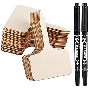 Vegena Plantenbordjes, 60 stuks, voor buiten, hout om te beschrijven met pen, plantensteker, kruidentuin, houten borden, tuinplanten, etiketteringsborden, kruidenborden