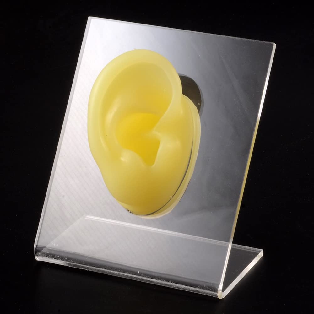 Modello di orecchio in silicone for la pratica del piercing – Espositore for orecchini riutilizzabile con base trasparente(Yellow Right)