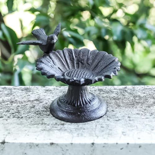 Bain décoratif pour oiseaux extérieur contre la sécheresse : protégez les colibris au sol