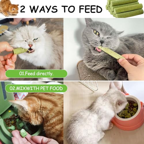 Katzengras Snack, 50g Gefriergetrocknet Snacks für Katzen für die Zahnpflege und Haarknäuel Entfernen, Katzenminze