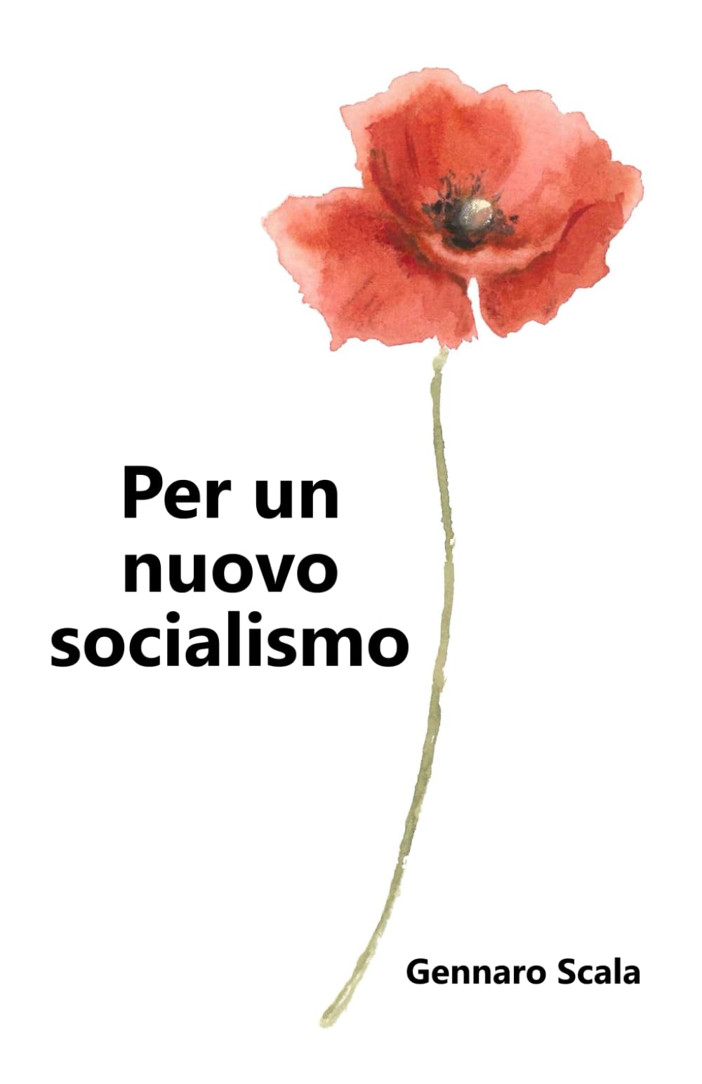 Per un nuovo socialismo