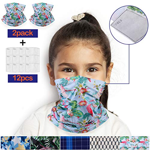 HUSTON LOWELL Máscara de pañuelo con filtros de Aire,multifunción Bufanda pañuelo para Hombre y Mujer y niños (Niños, Flamenco 2 + 12??niños?)