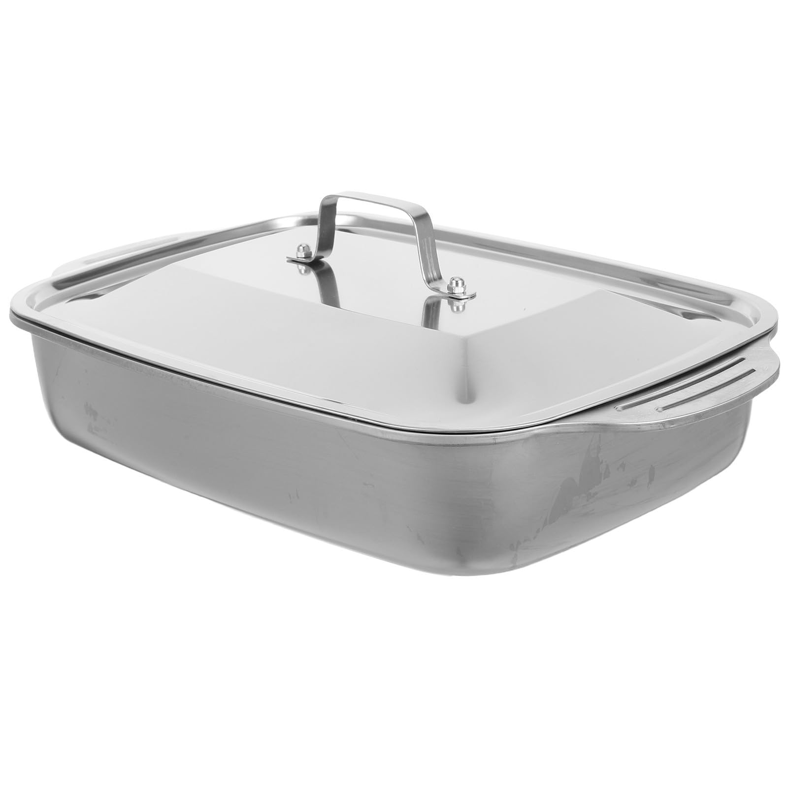 Plat acier inoxydable couvercle rôtir poisson cuisiner plats