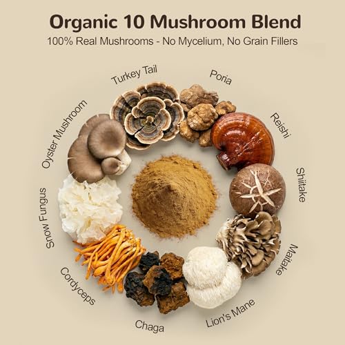 Image of Organic Turkey Tail Mushroom for Large Dogs - Over 50% Beta Glucan - 10-in-1 Mushroom Powder for Immune & Gut Support - Dog Mushroom Supplements for Lumps and Bumps - Chicken Flavor, 200g