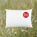 TODDLER PILLOWCASE (14" x 19") - 100% Cotton - 200 Thread Count Percale - Envelope Style - PREMIUM PRODUCT Made in Virginia (White)