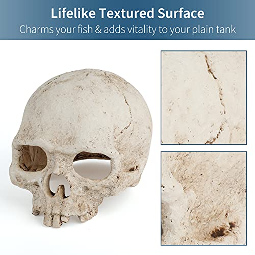Image of Uniclife Aquarium Skull Reptile House Decor Resin Head Skeleton Ornament for Tank Landscape Decorative Hideout Cave Shelter for Small Fish Shrimp Snail Gecko Spider Lizard in 5-20 Gallon Fish Tank
