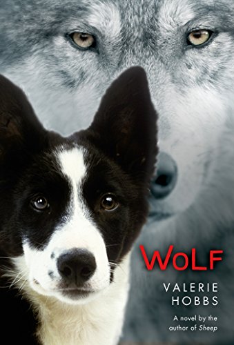 Wolf view 2