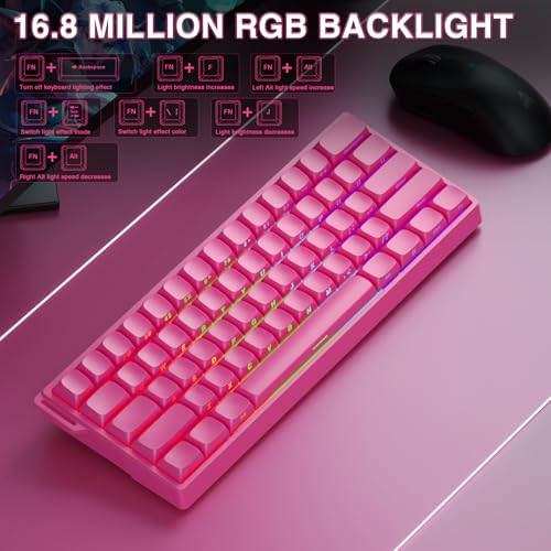 Image of AULA WIN60 HE PRO 60% Mechanical Gaming Keyboard Wired, Magnetic Switch Hot Swappable, Adjustable Actuation Rapid Trigger Mode, 8000Hz Polling Rate, RGB Small Keyboard 60 Percent Compact Design for PC