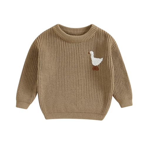 Newborn Baby Boy Girl Sweater Goose Embroidery Crew Neck Long Sleeve Knit Pullover Toddler Fall Winter Clothes (Khaki, 0-3 Months)