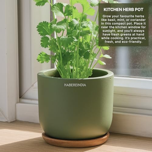 Image of Habere India-All the Cultures Fabricating India Plant Pot with Wooden Plate | Flower Pots for Dining Table & Home Decor | Terracotta Pot for Living Room Decoration (Green, Dia11 x H9.5 cm)
