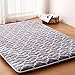 Premium Foam Japanese Floor Mattress Futon Mattress,100% High Density Comfortable Foam,Thicken Tatami Mat Sleeping Pad,Portable Kids Adults Sleeping Mats for Guest Room, Dormitory,Full (80